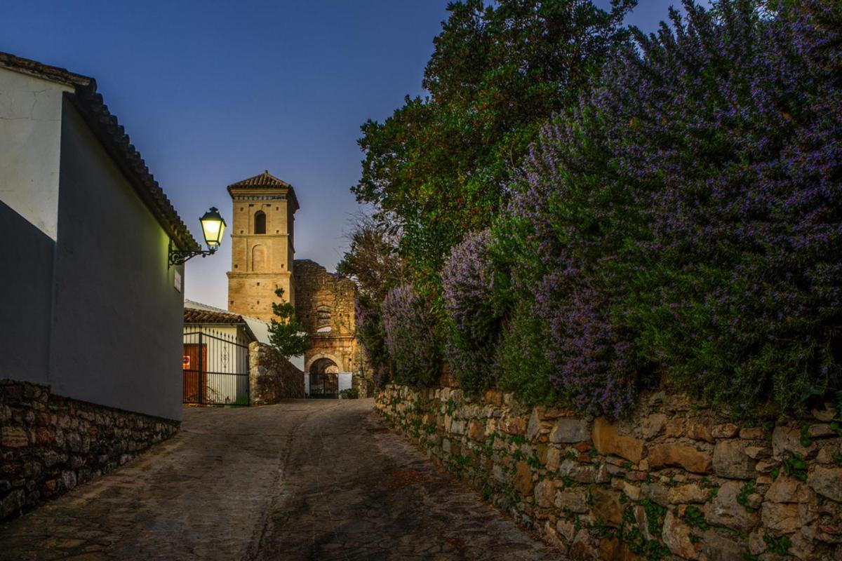 Casa De Los Cuadros Villaluenga Del Rosario Buitenkant foto