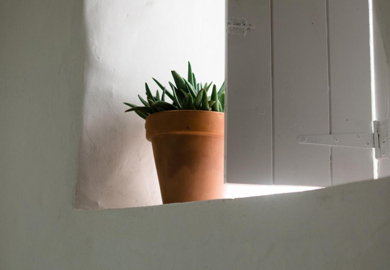 Casa De Los Cuadros Villaluenga Del Rosario Kamer foto